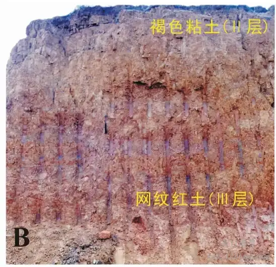 成都平原区粘土工程地质特性