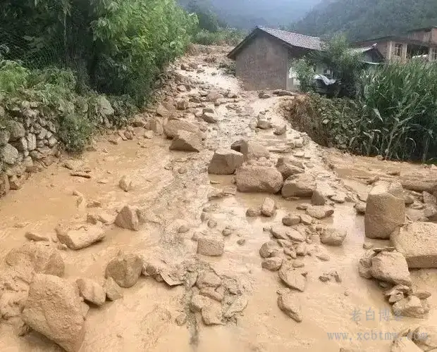 基于形成条件和地貌表现的野外泥石流沟的判别