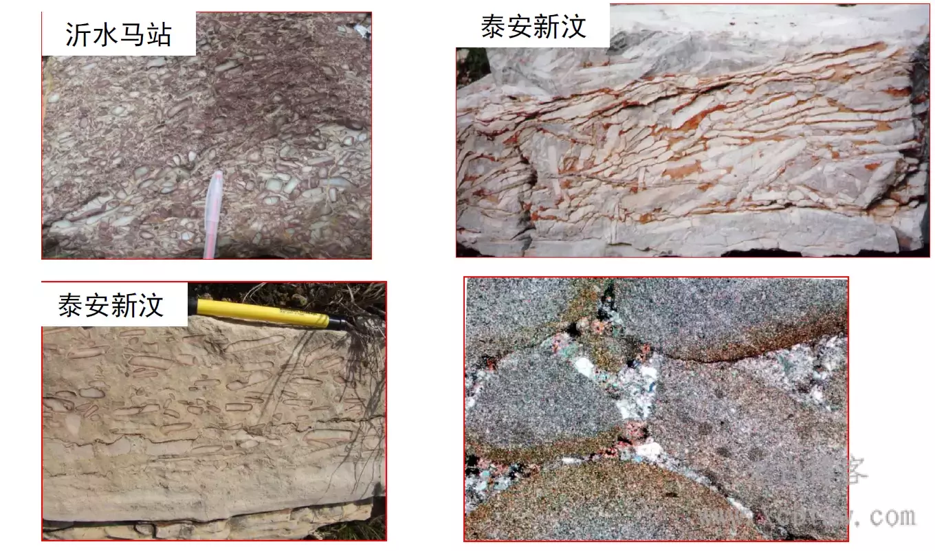 常见石灰岩的一般组构特征、分类和鉴定